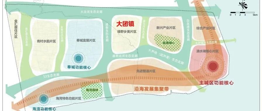 浦东大团：临港新片区的绿野乡村片区